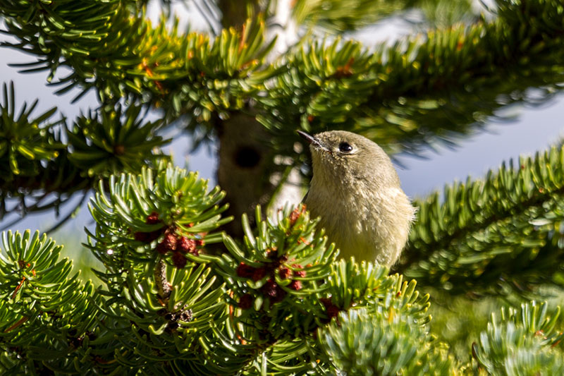 ... begleiten unseren Weg