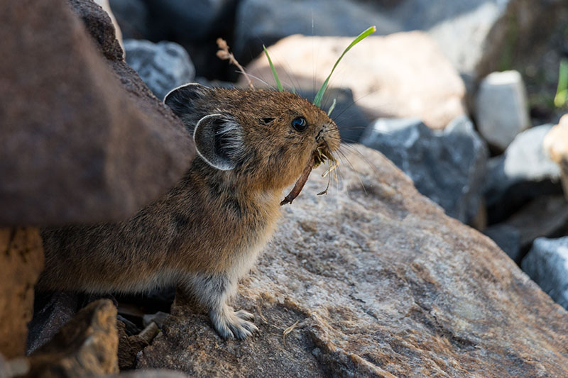 ... und lassen sich von uns kaum stören