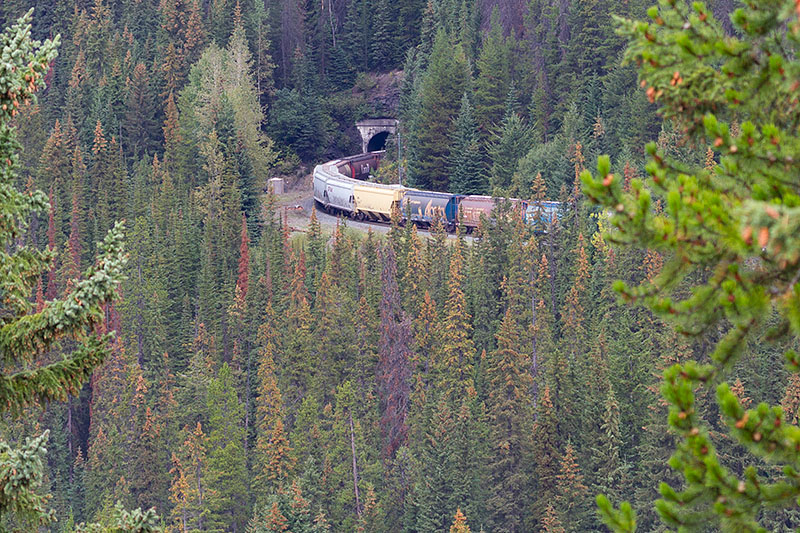 Bei den "Spiral Tunnels". Durch zwei spiralförmige Tunnel ...