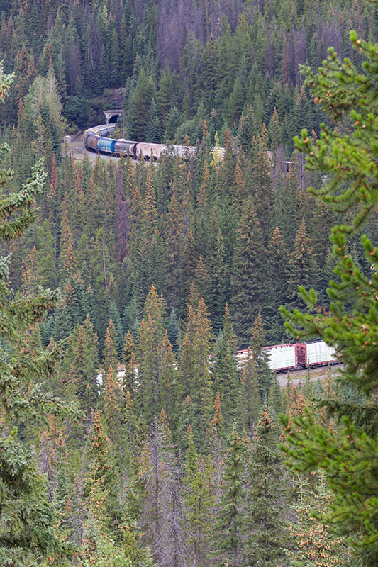 ... können die Züge auf kurzem Wege viele Höhenmeter überwinden. Auf dem Bild ist ein einziger Zug in zwei Tunnel