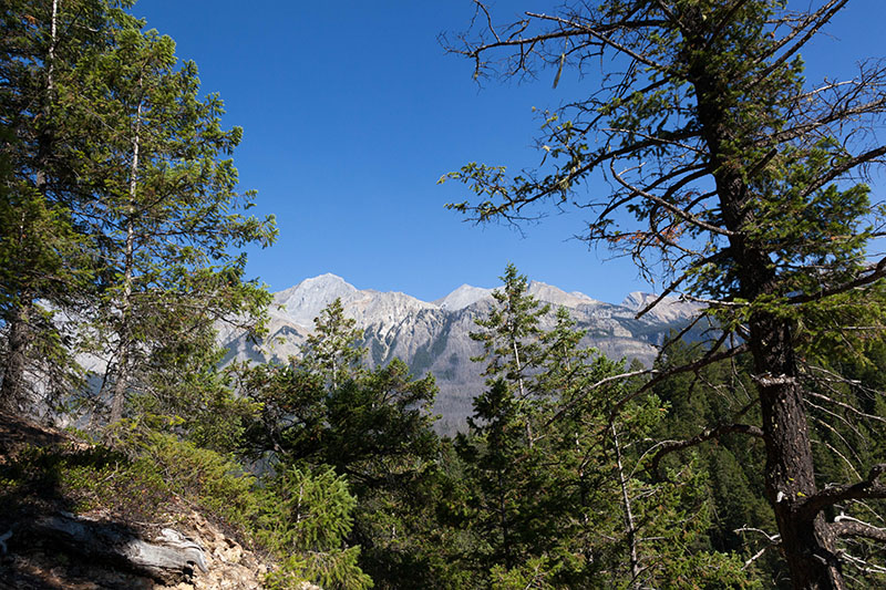 Berge hinter den Wapta Falls