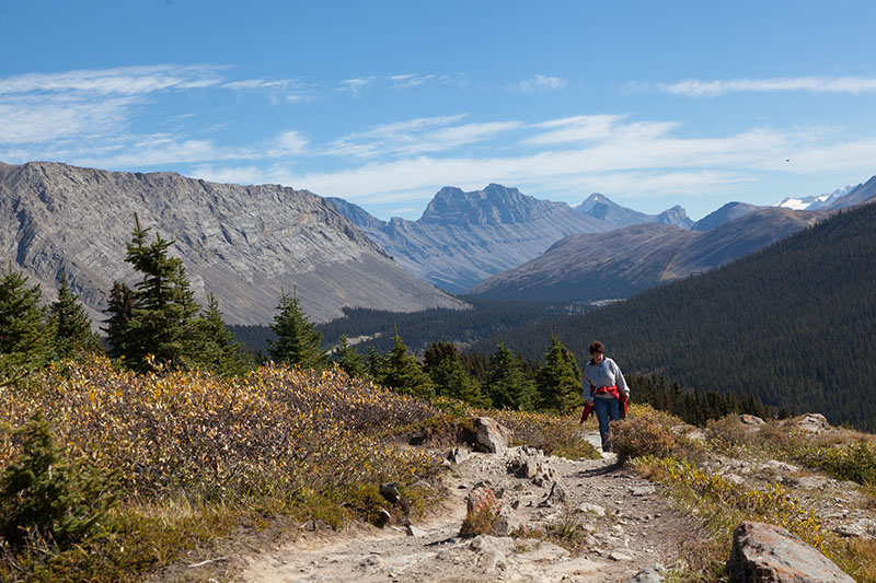 ... aber immer noch nicht oben ;-)