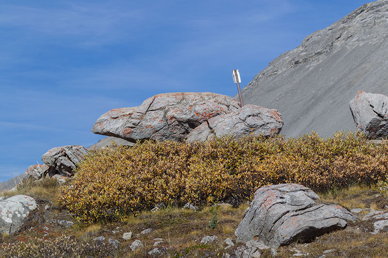 Die Passhöhe, zumindest nehme ich an, dass sie das ist