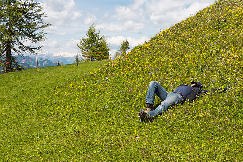 Chillen im Gras