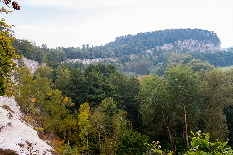 Blick auf die Sachsensteinklippen