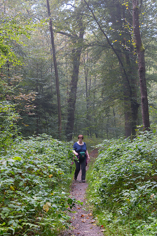 Vroni im "Regen"wald