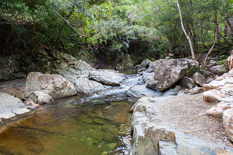 Das Flüsschen sprudelt parallel zu unserem Weg