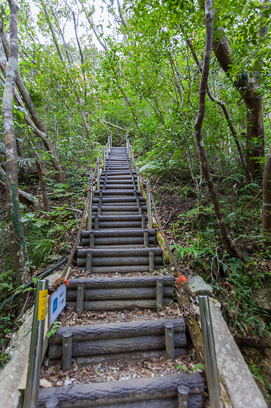 Steil führt die Treppe nach oben ...