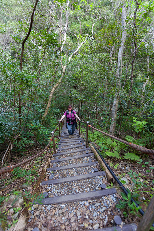 ... nur noch ein paar Stufen