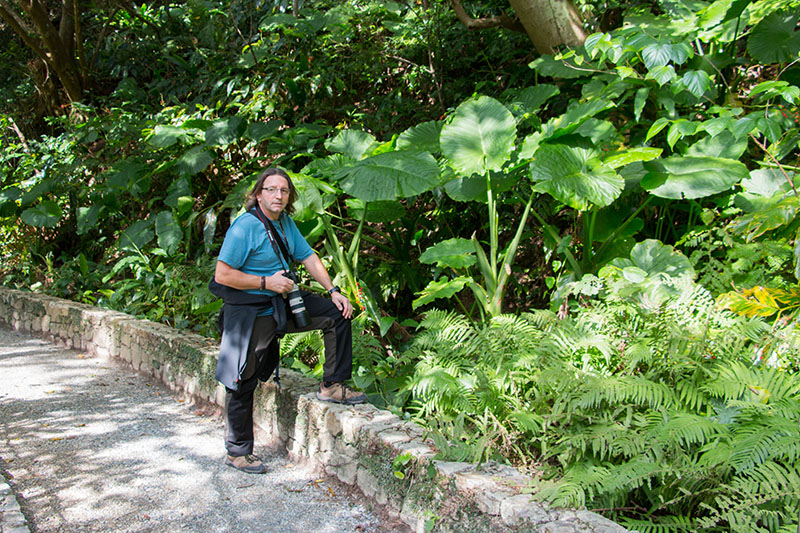 ... hier ein Größenvergleich