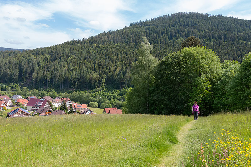 Das erste Stück geht es steil hinauf - auf dem Bild ist es schon wieder flach ;-)
