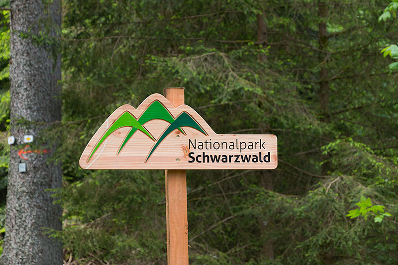Im neuen Nationalpark Schwarzwald