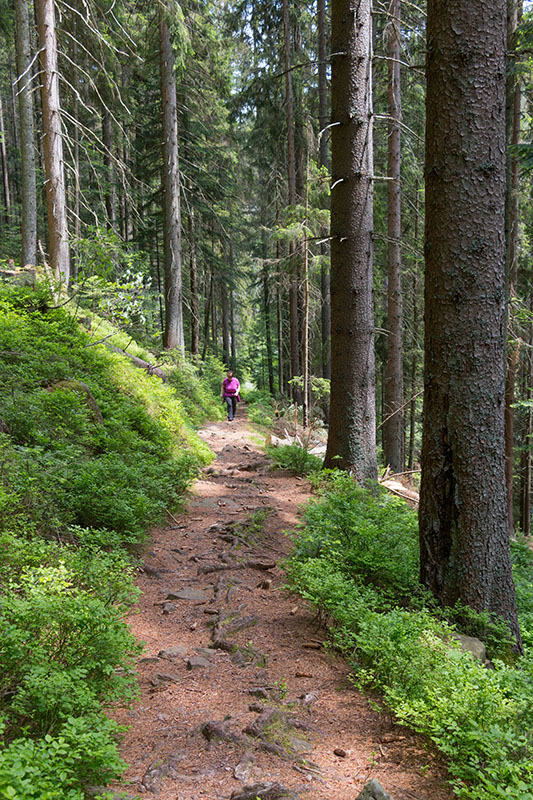 Anstieg an der Murgleiter