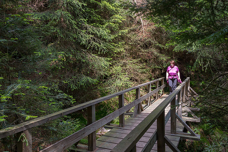 Brücke bei einem Wasserfall
