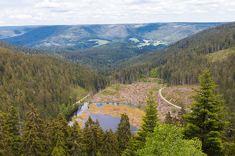 Blick von der Kleemüsse auf den Huzenbachsee