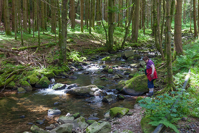 ... und müssen nun sehen, wie wir wieder auf den richtigen Weg kommen