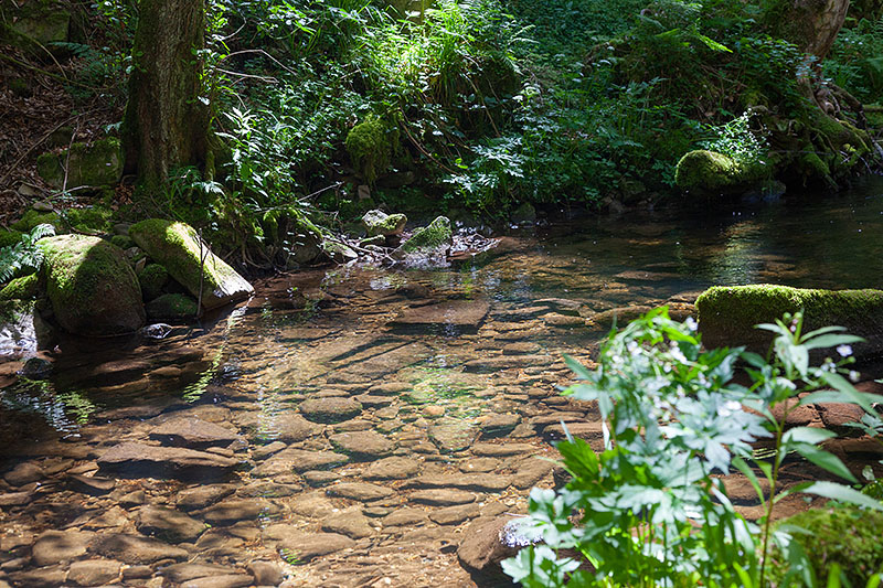 Außerdem schöne klare Bäche