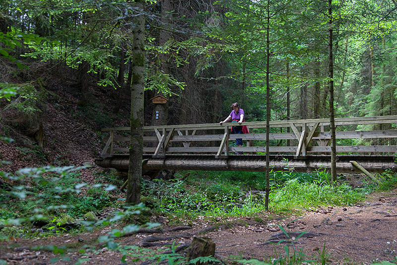 Über diese Brücke hätten wir gehen sollen ...