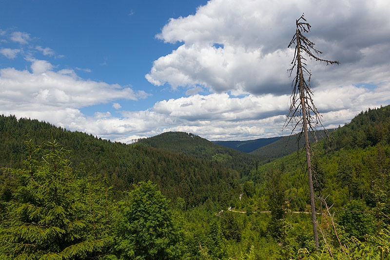 Blick auf die Schwarzwaldhöhen