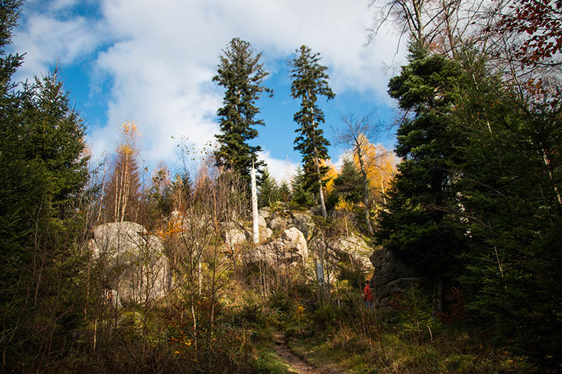 Die Felsen sind ein ideales Gebiet für Luchse