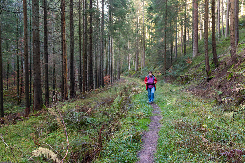 Auf schmalen Pfaden ...