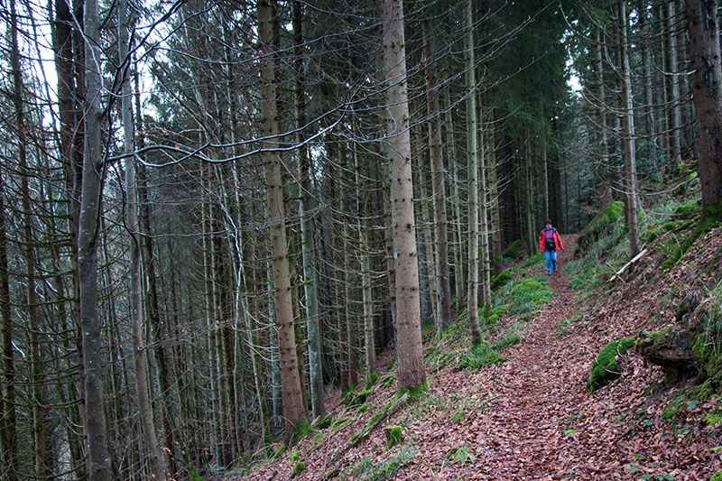 Der Abstieg nach Klosterreichenbach ...
