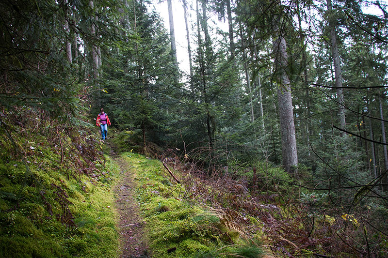 ... zieht sich etwas hin