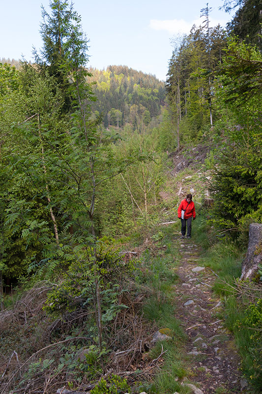 Das erste Stück geht es steil bergauf ...