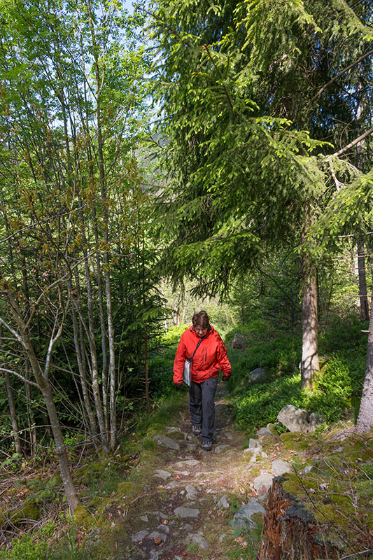 ... das zweite Stück auch ;-)
