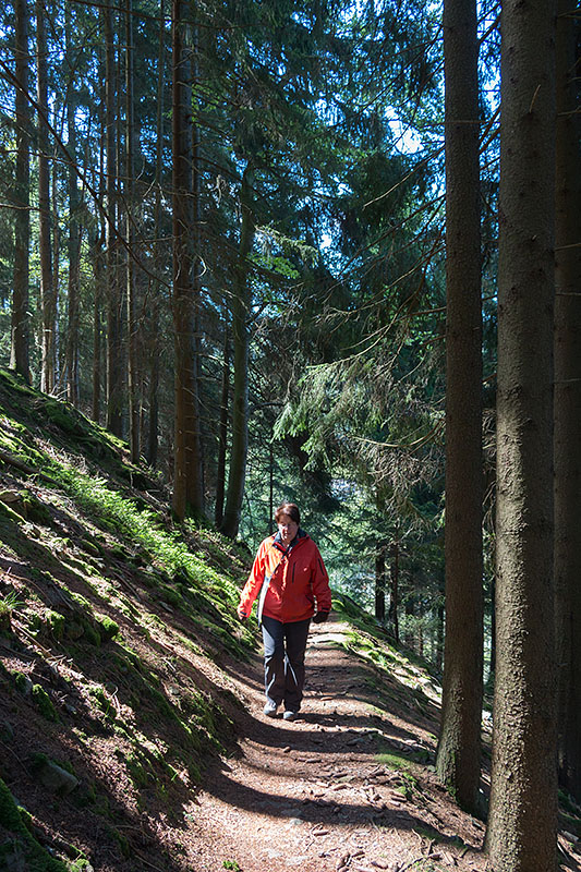 ... und der Pfad schmaler