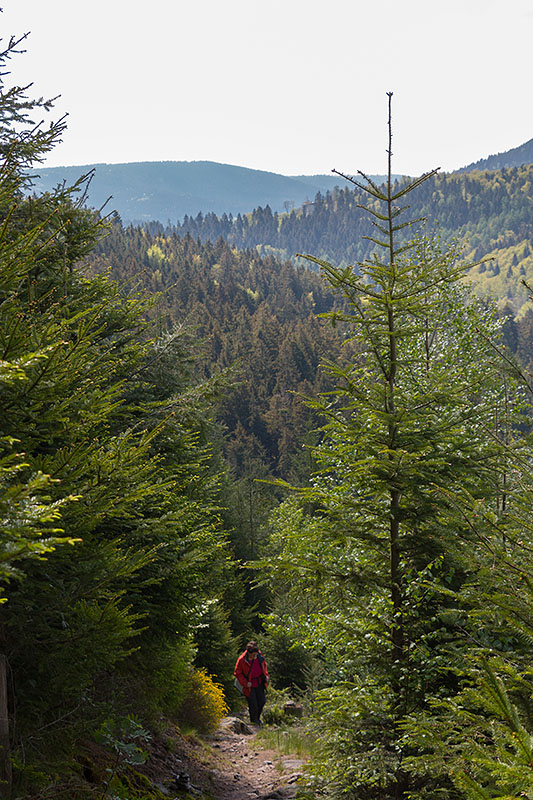 Das letzte Stück kraxeln ...