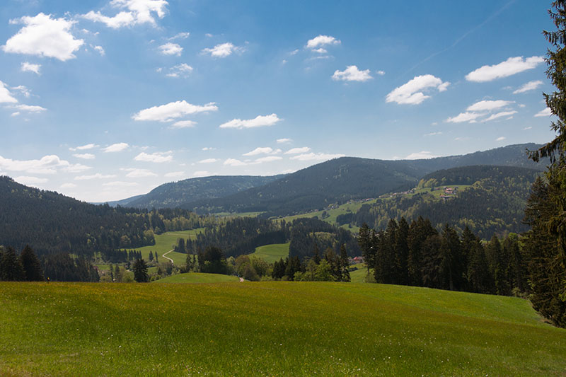 Schöne Schwarzwaldlandschaften ...