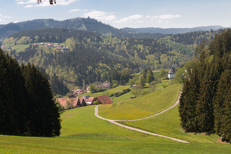 ... erfreuen das Auge ...