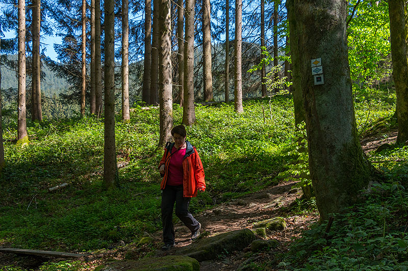 ... bevor wir durch den Wald nach unten steigen