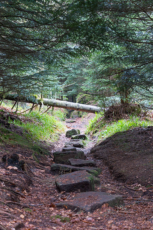 Kraxeln und kriechen ;-)