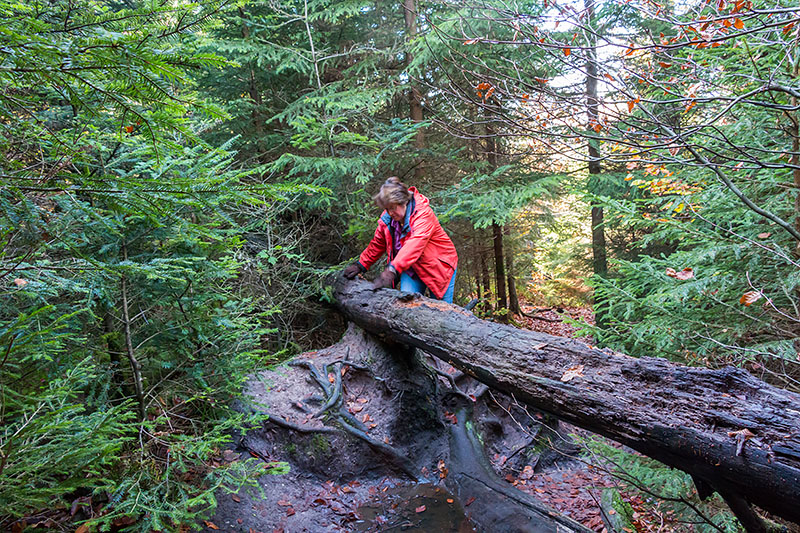 Vroni beim "Hürdenlauf" ;-)
