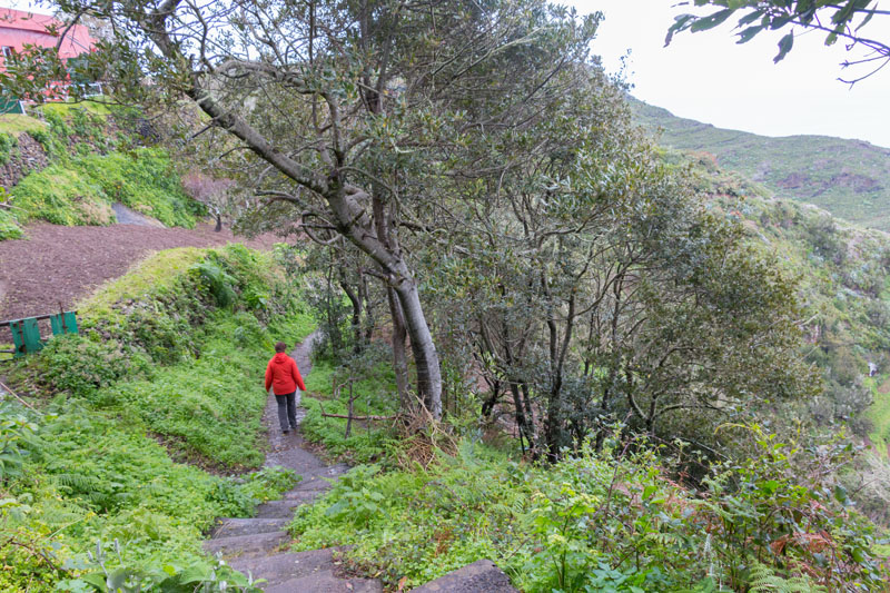 Weg beim Lorbeerwäldchen ...