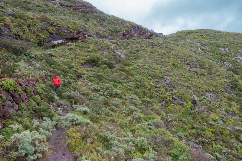 Auf der Rückseite unseres Roque