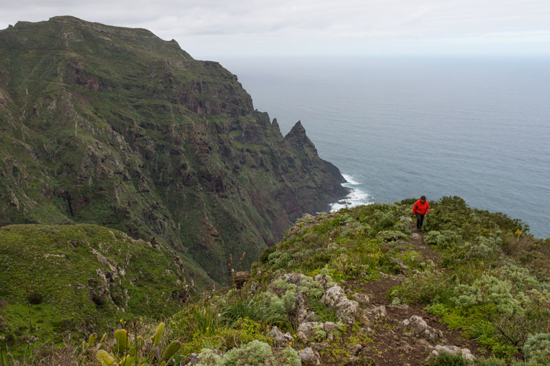 Nun geht es weiter den Berg hinauf