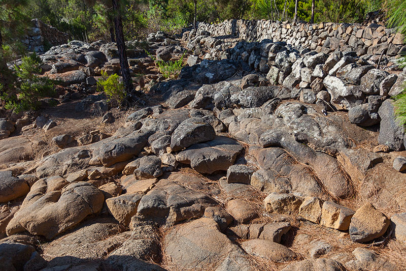 Aus dem Lavagestein ...
