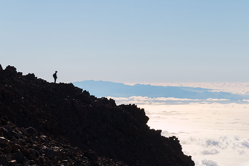 Fast wie ein Scherenschnitt