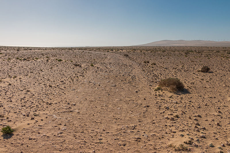 Rückweg durch die "Wüste"