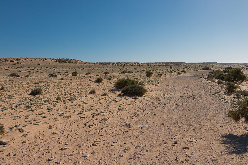 Auf dem ersten Blick trostlos ...