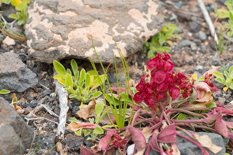 Noch ein paar Farben ...