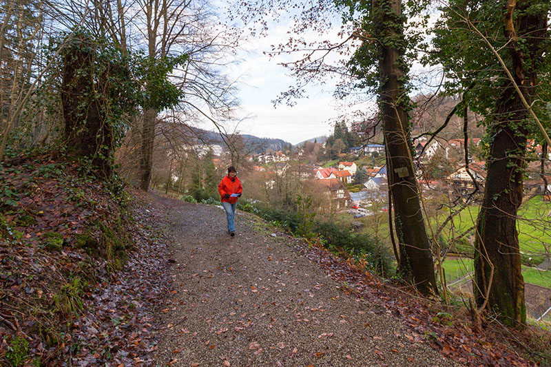 Linksseitig zum Gaisbach wandern wir zur Aschenhütte