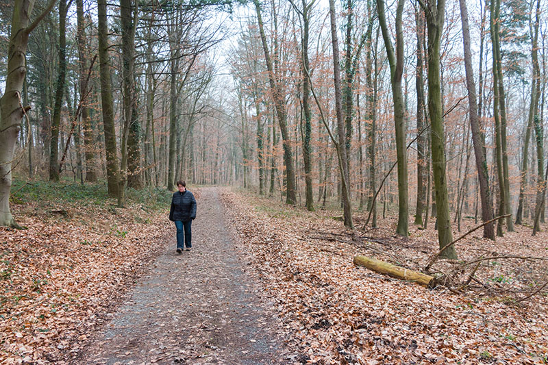 Waldetappe, hier spürt man den kalten Wind nicht so stark