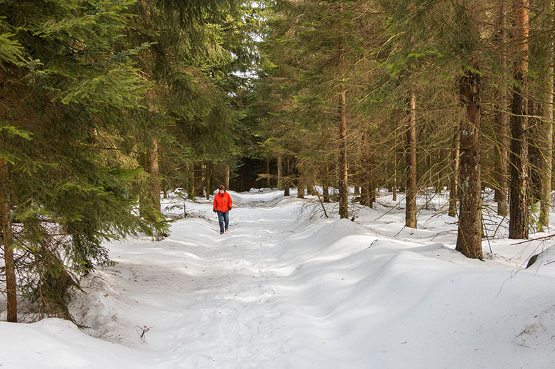 Der Schnee wird tiefer