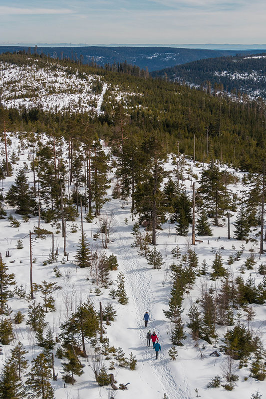 Auf diesem Weg geht es später weiter