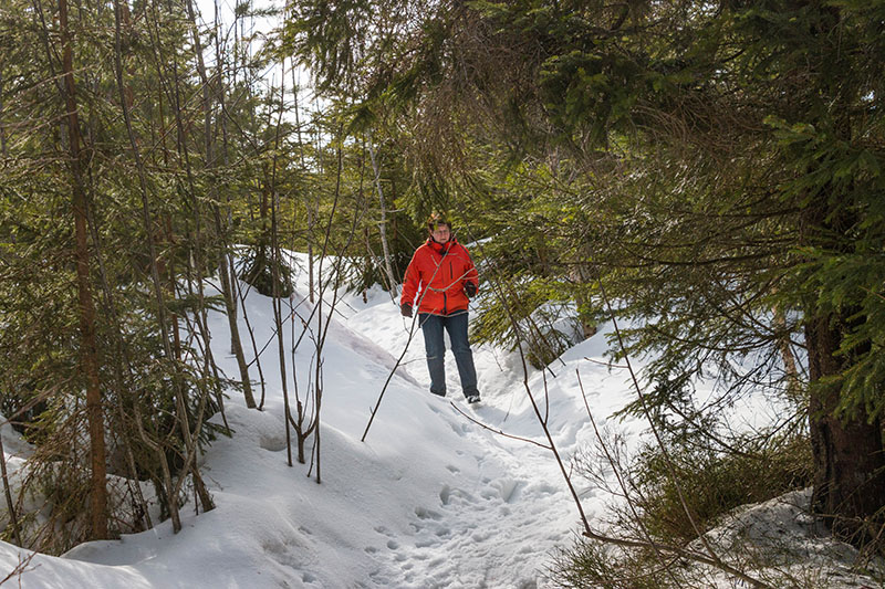 Der Weg wird enger und steiler
