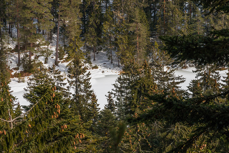 ... und unter uns der Herrenwieser See